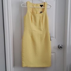 The Limited dress